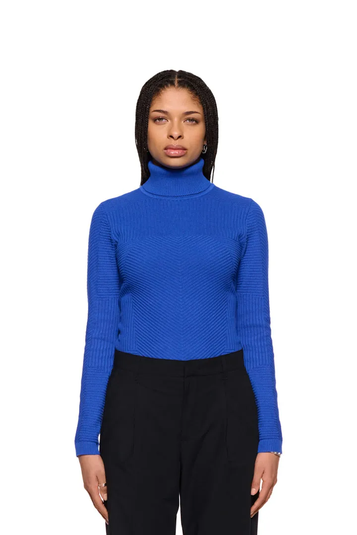 Anatomy Turtleneck Blue