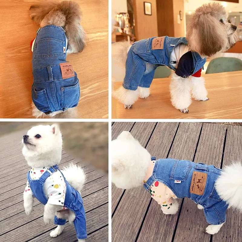 Dog Jean Jacket