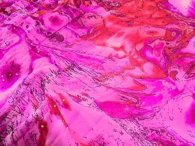 Embellished Silk Chiffon