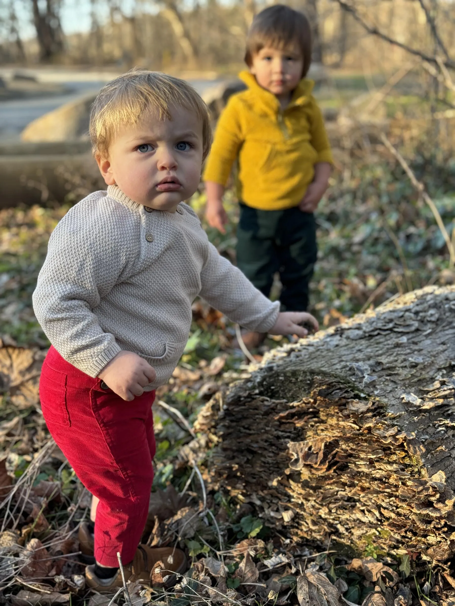 Harrison Cord Overalls