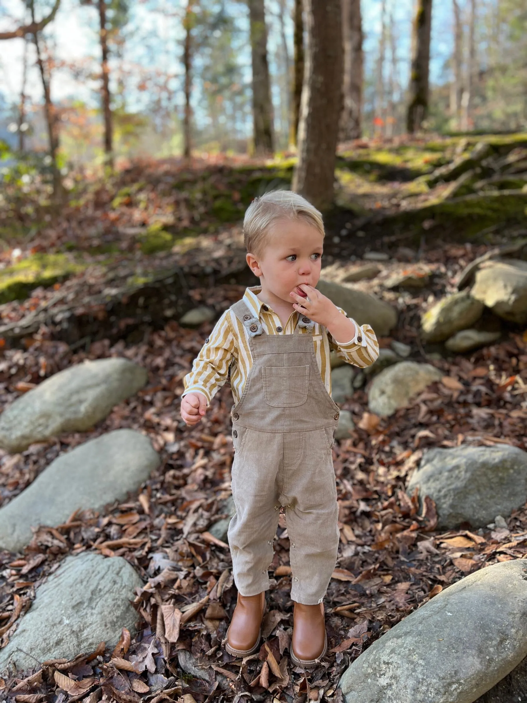 Harrison Cord Overalls