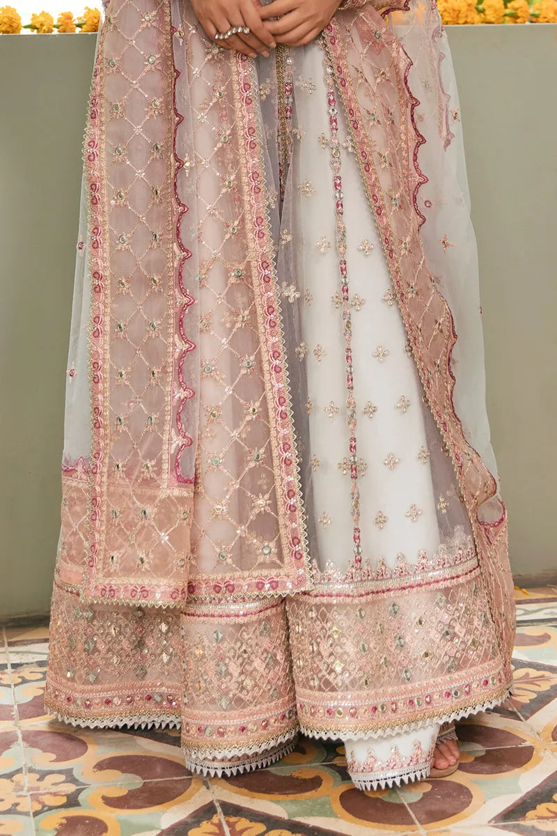 Qalamkar Khaab Luxury Festive Formals 2022 Vol-2 – NF-01 MAHA
